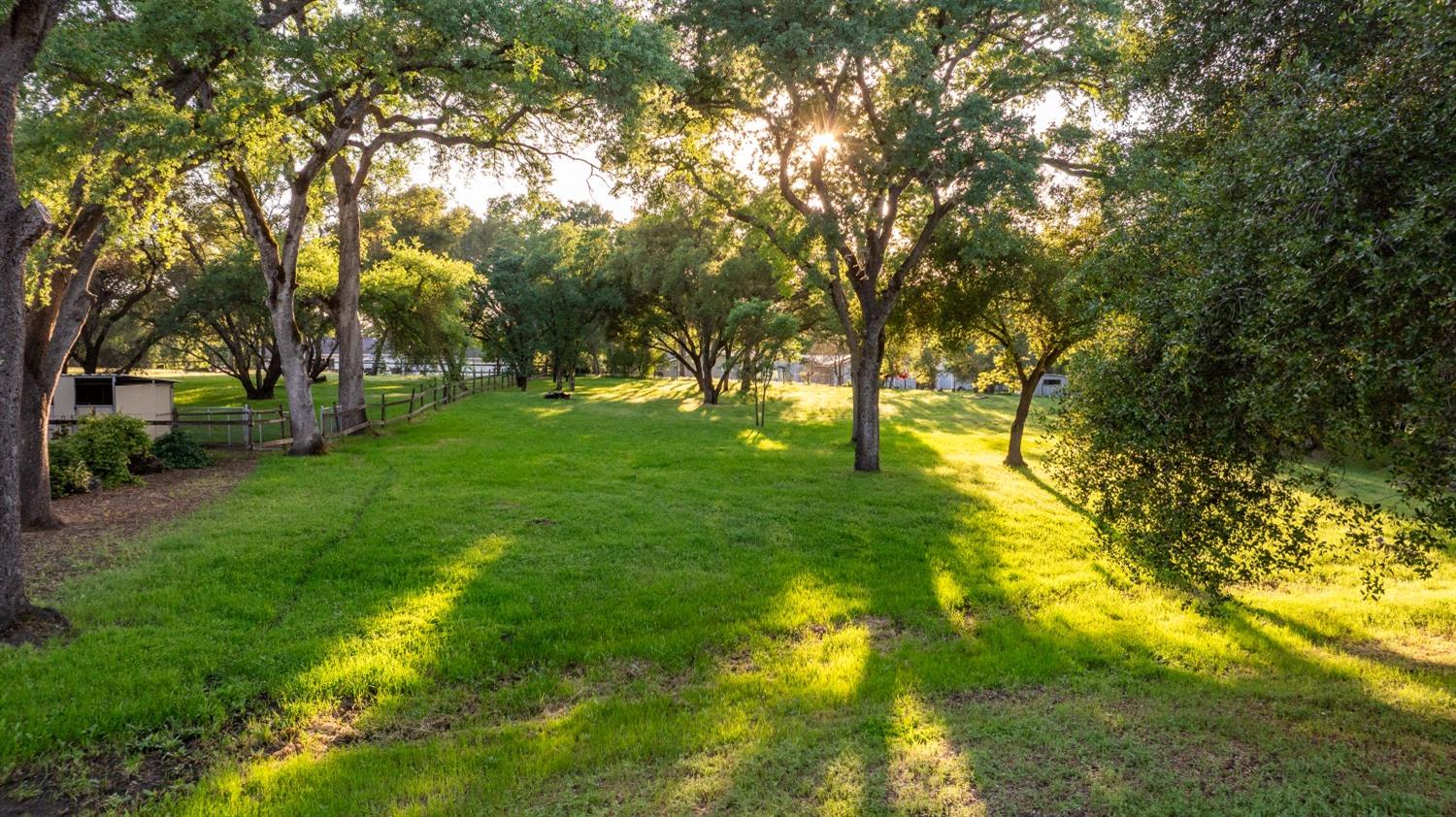 Fox Meadow, Granite Bay, California image 3