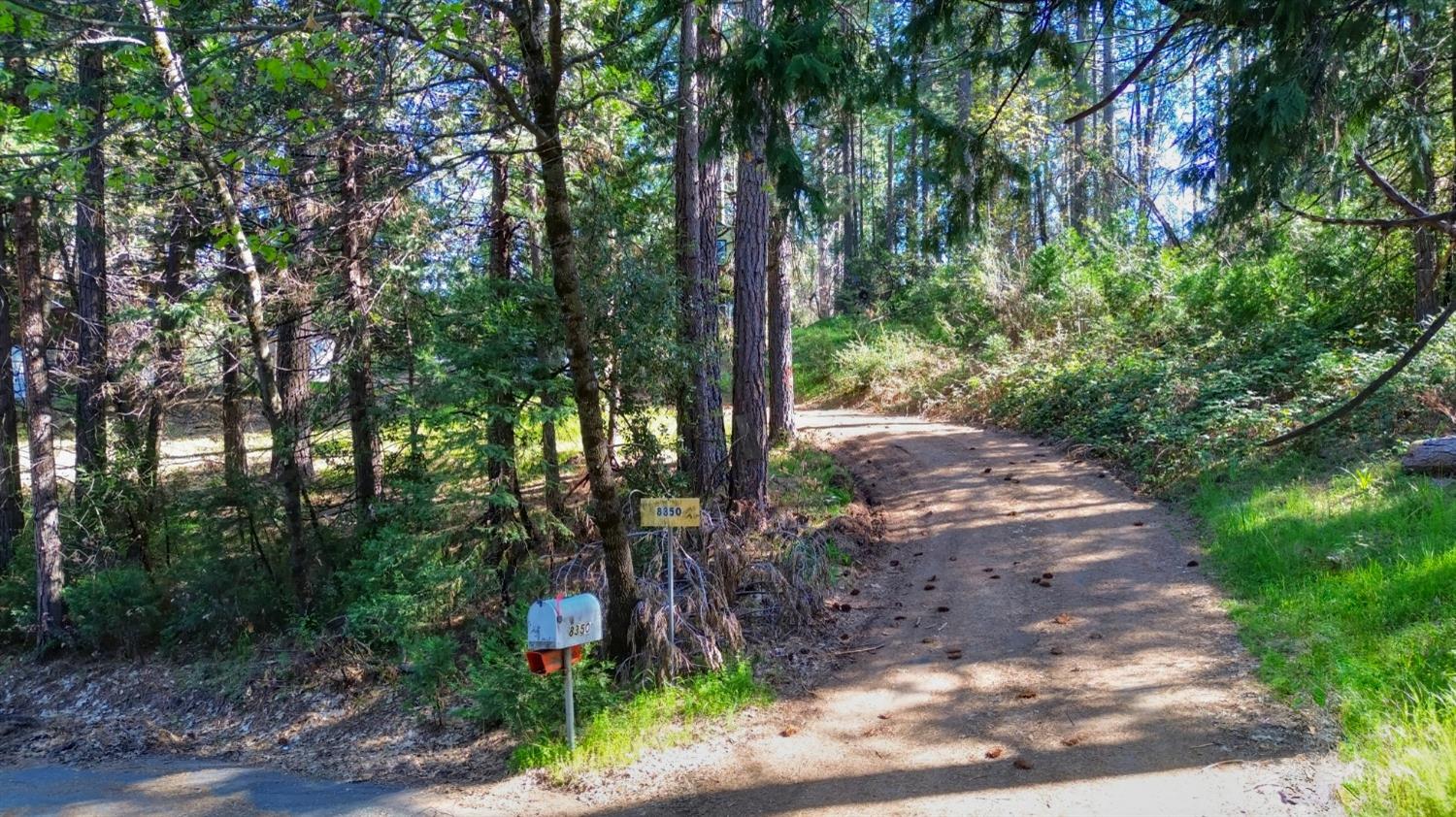 Grizzly Flat Road, Somerset, California image 30