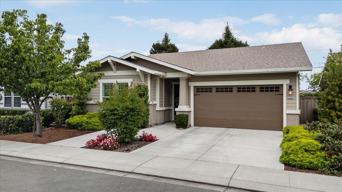 Ives Street, Modesto, California image 3