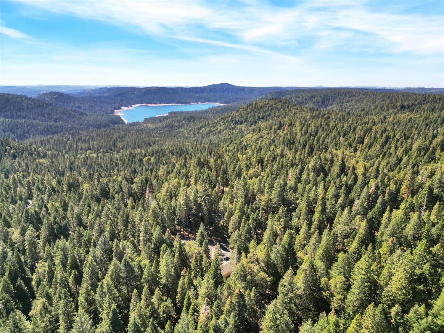 Detail Gallery Image 53 of 89 For 11555 Sky Pines Ridge Rd, Nevada City,  CA 95959 - 3 Beds | 2/2 Baths