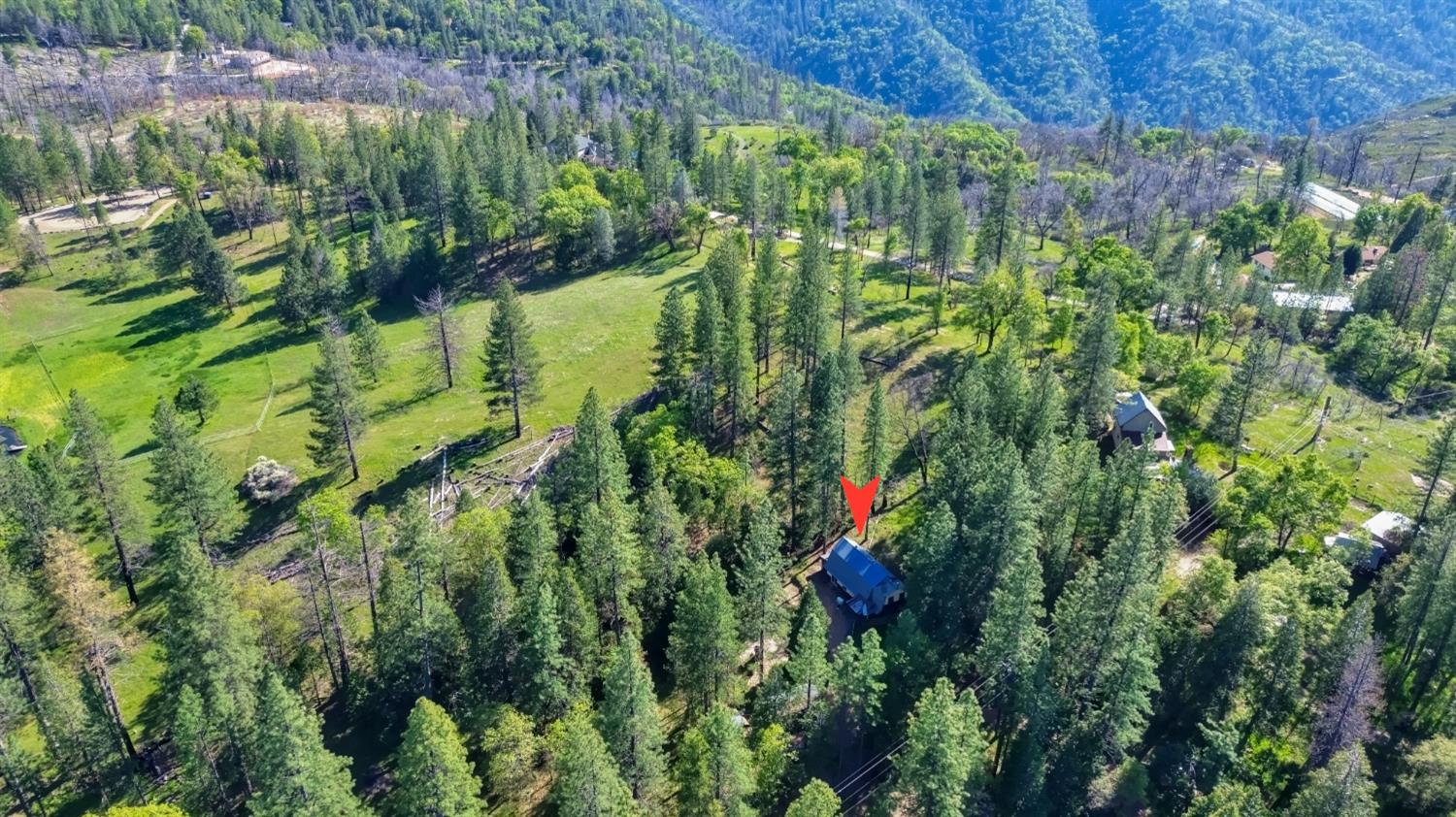 Grizzly Flat Road, Somerset, California image 12