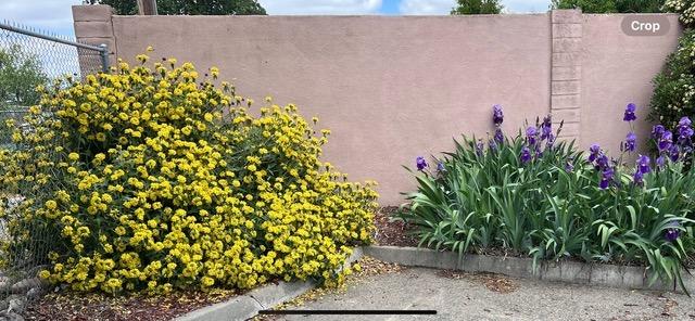 Detail Gallery Image 6 of 22 For 4713 Yosemite Blvd, Empire,  CA 95319 - – Beds | – Baths