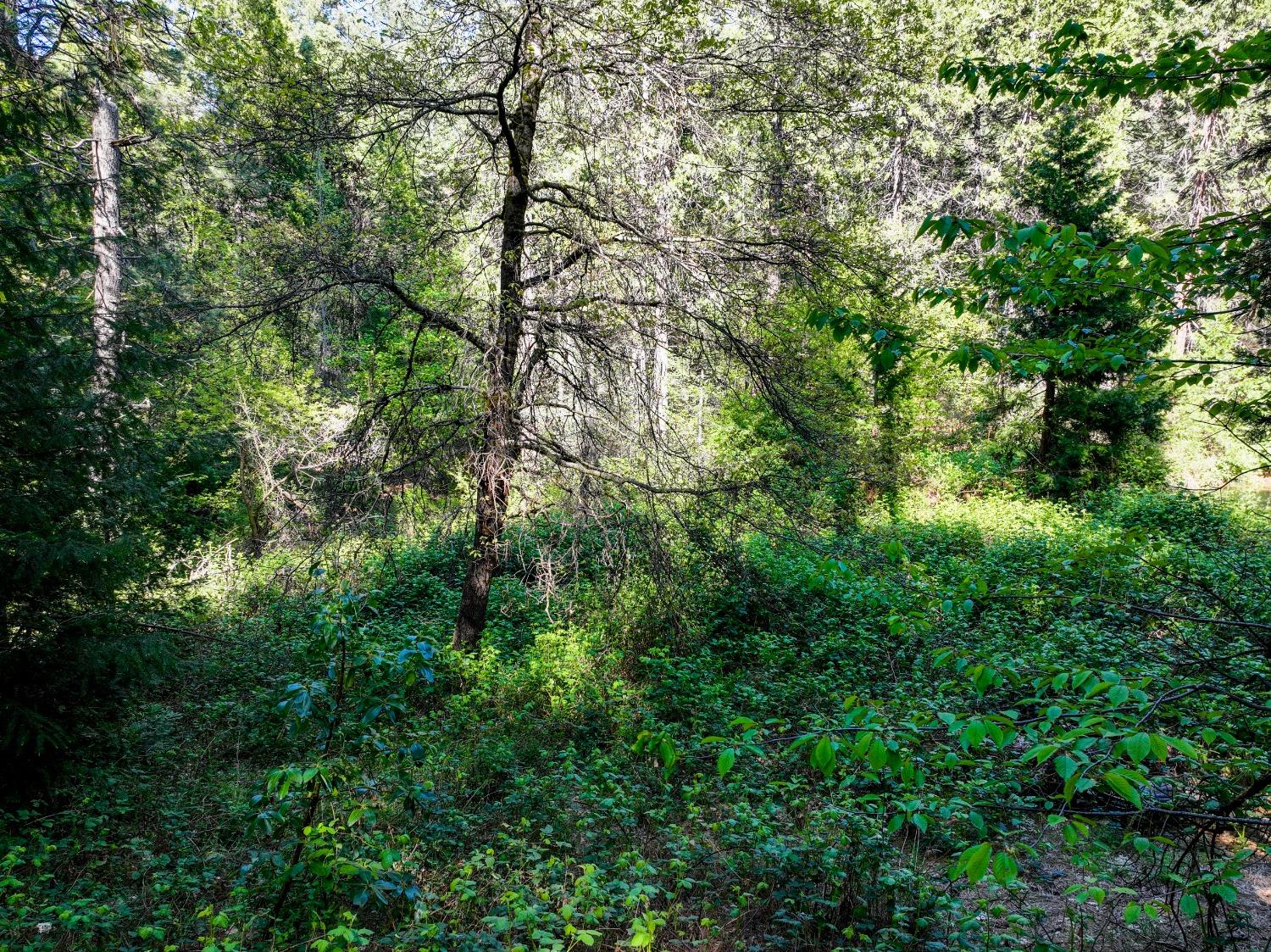Shady Lane Drive, Morgan Hill, California image 21