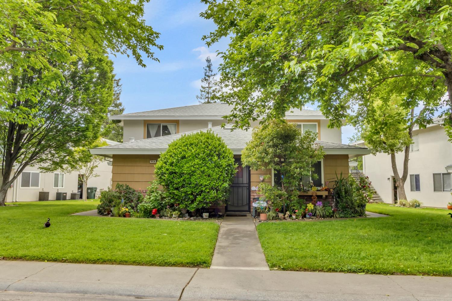 Bremen Drive #3, Citrus Heights, California image 1