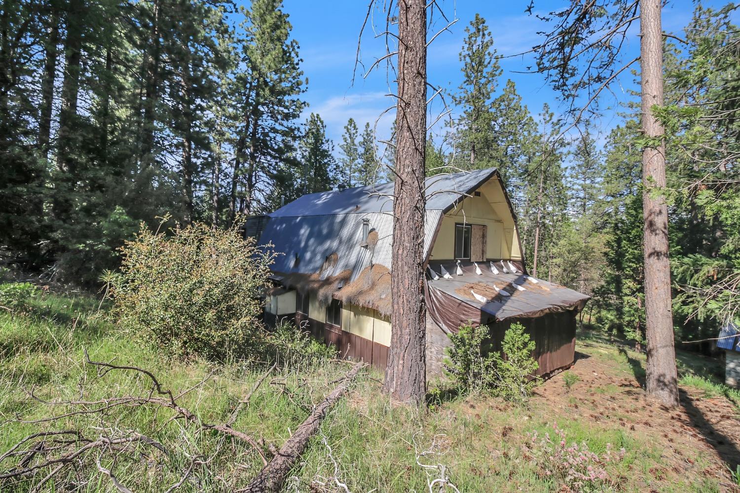 Grizzly Flat Road, Somerset, California image 5