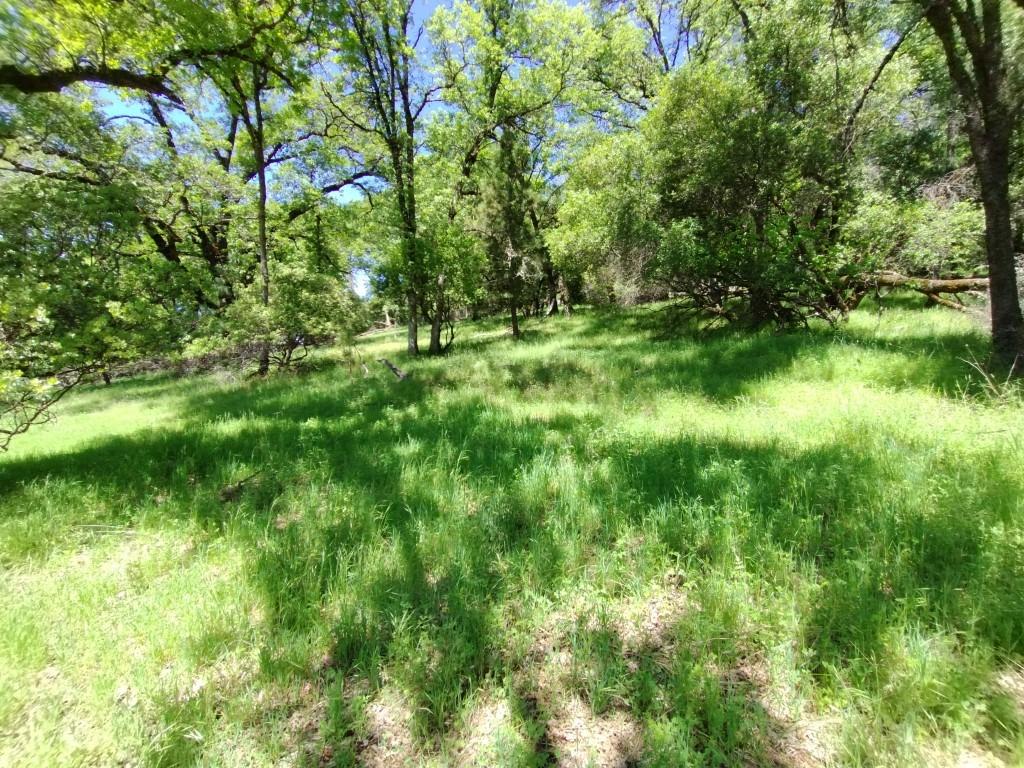 Wolf Creek Road, Grass Valley, California image 5