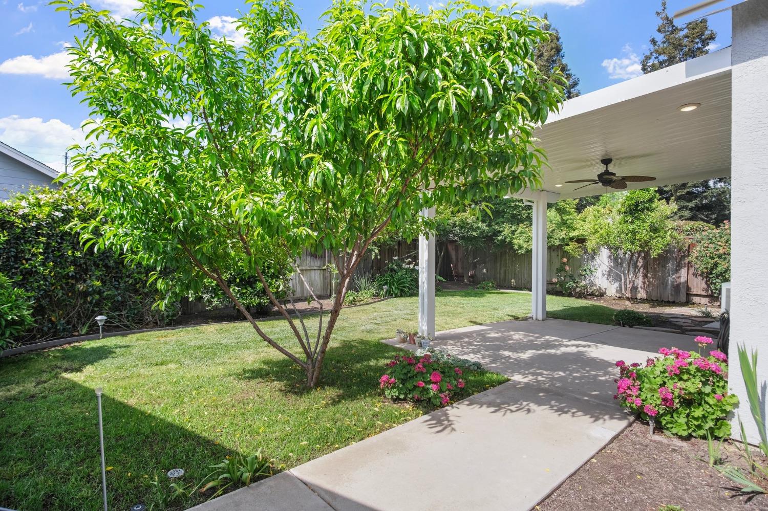 Pristine Court, Modesto, California image 21