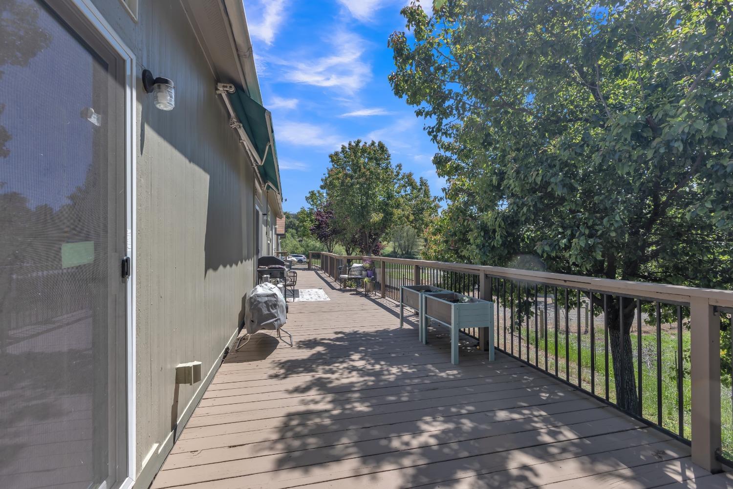 Big Oak Lane, Browns Valley, California image 37