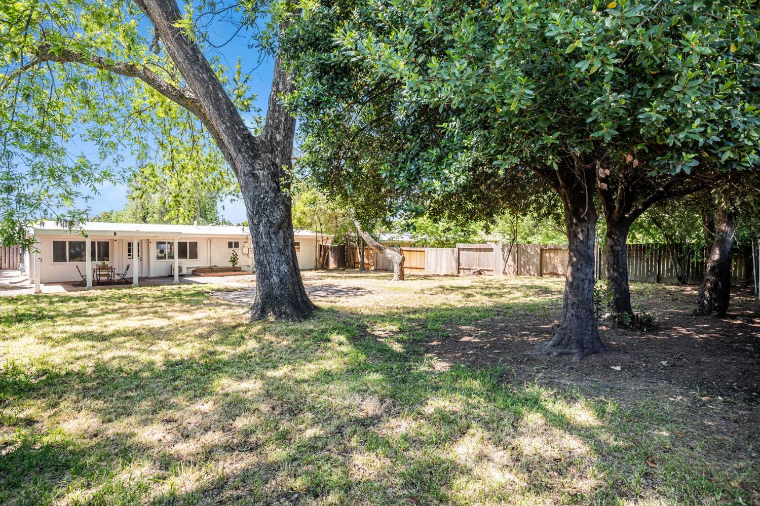 Terrace Drive, Sacramento, California image 36