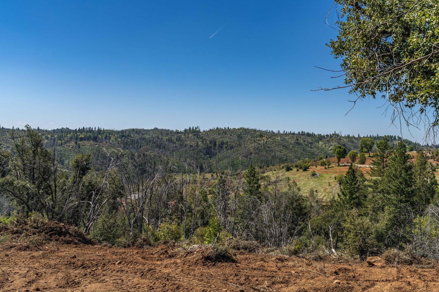 Old Emigrant Trail, Mountain Ranch, California image 8