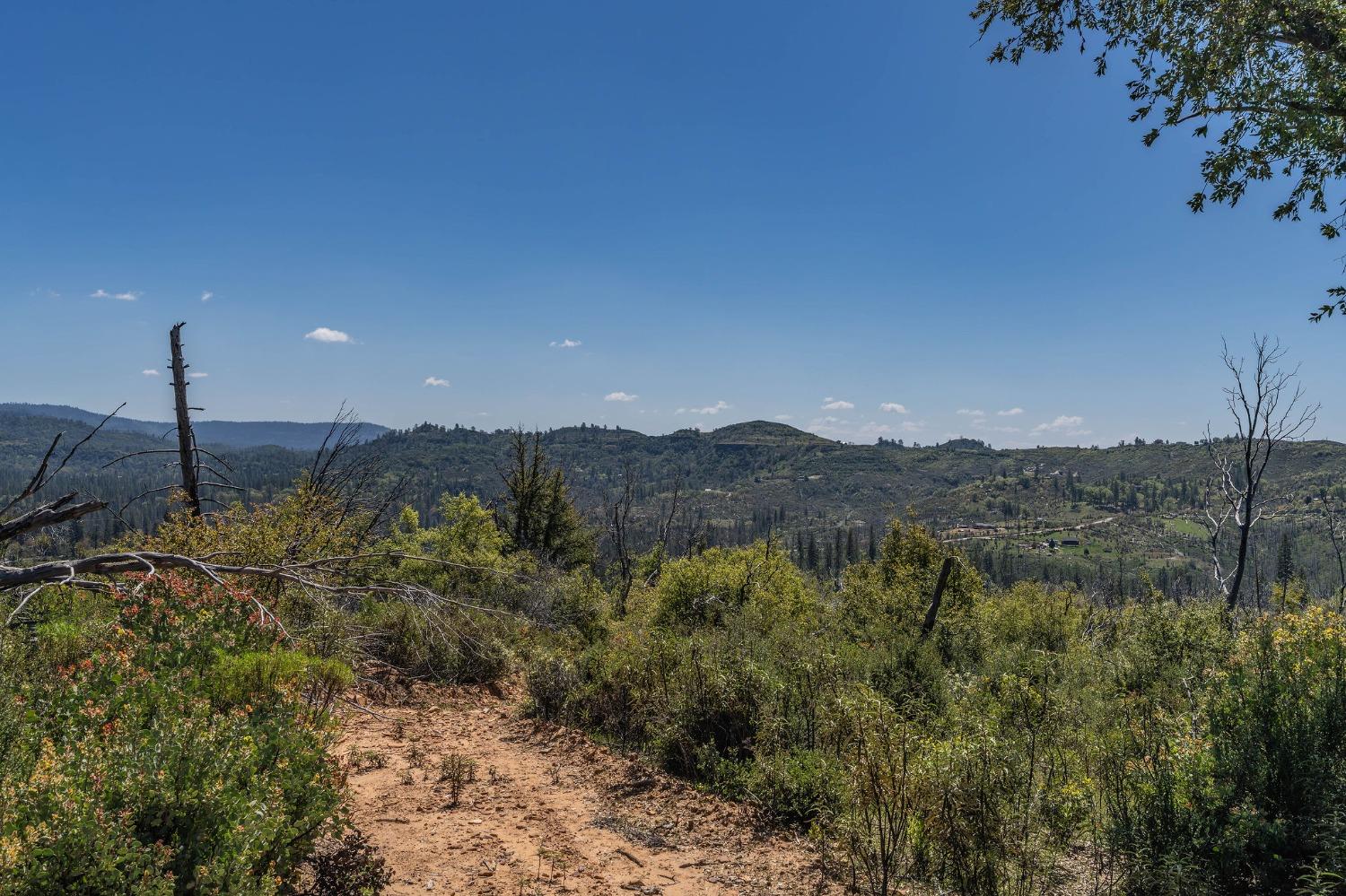 Old Emigrant Trail, Mountain Ranch, California image 12