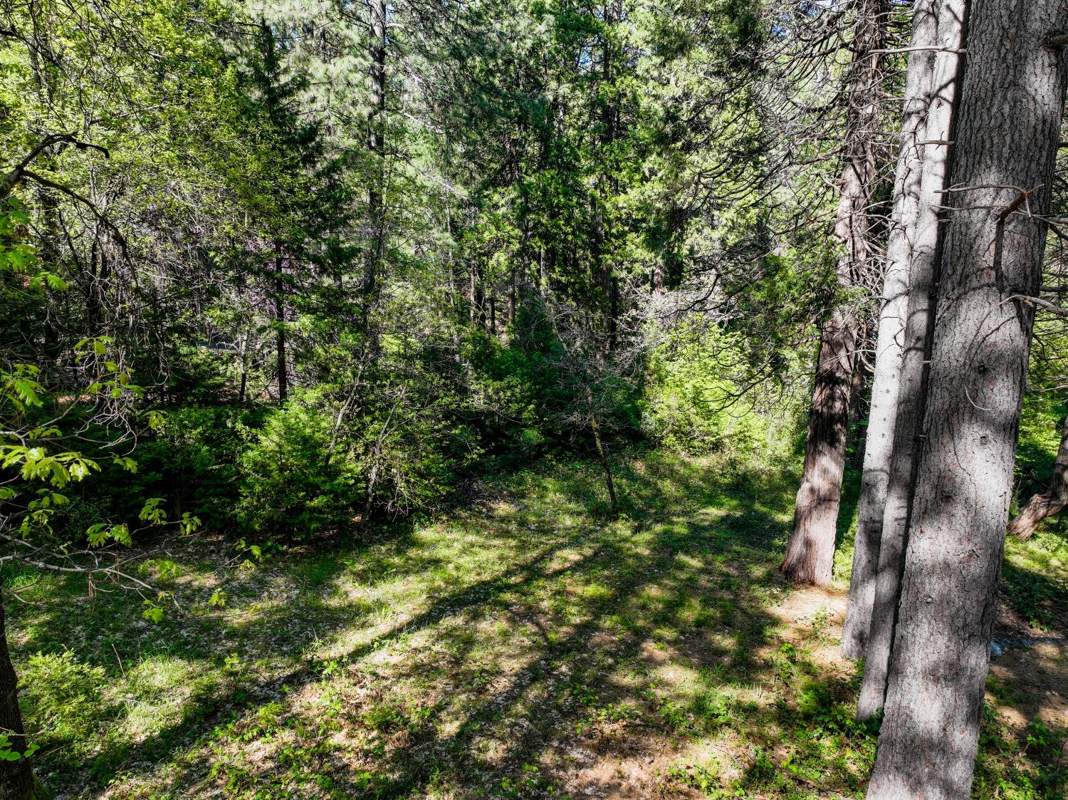 Shady Lane Drive, Morgan Hill, California image 8