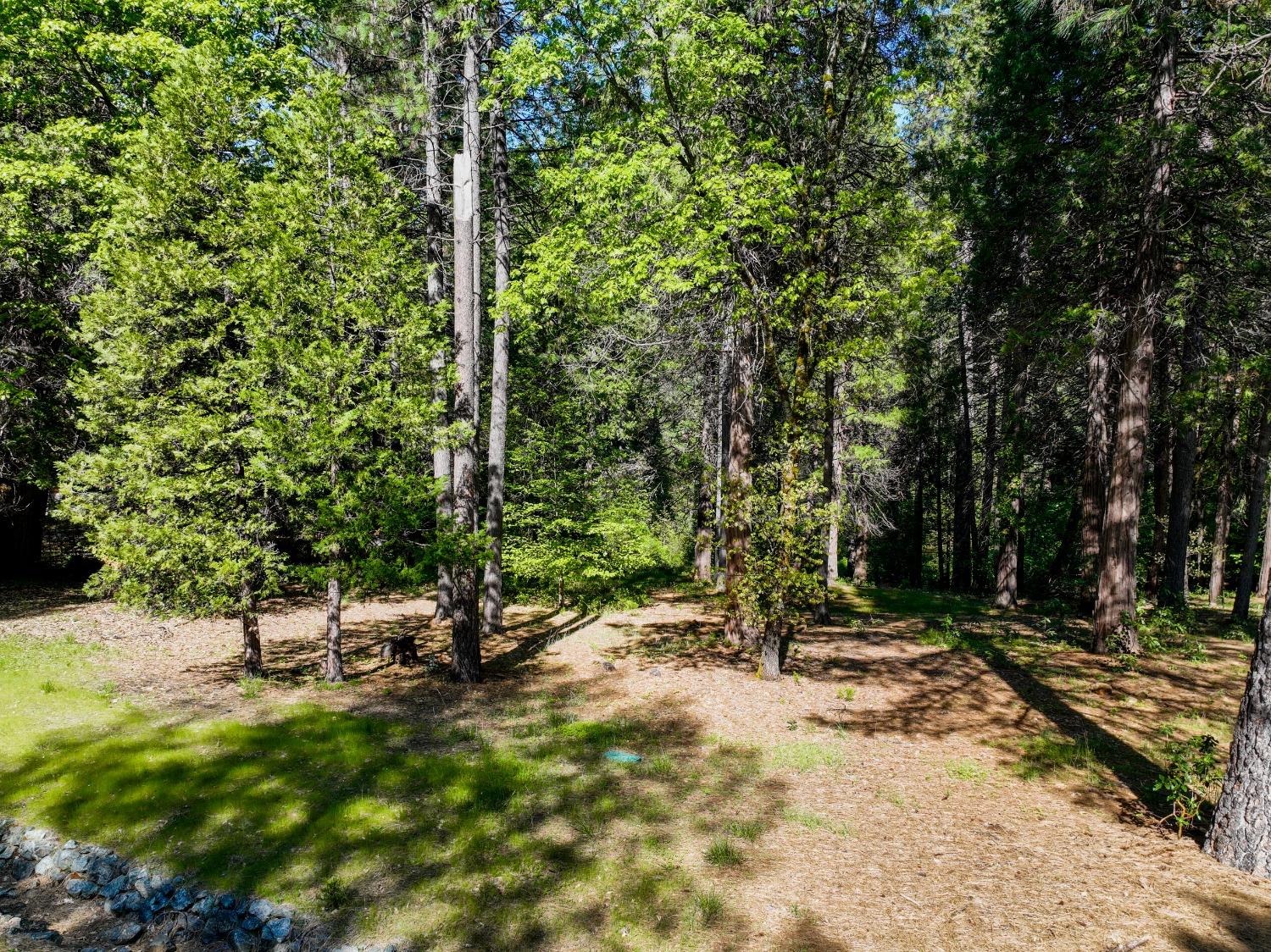 Shady Lane Drive, Morgan Hill, California image 6