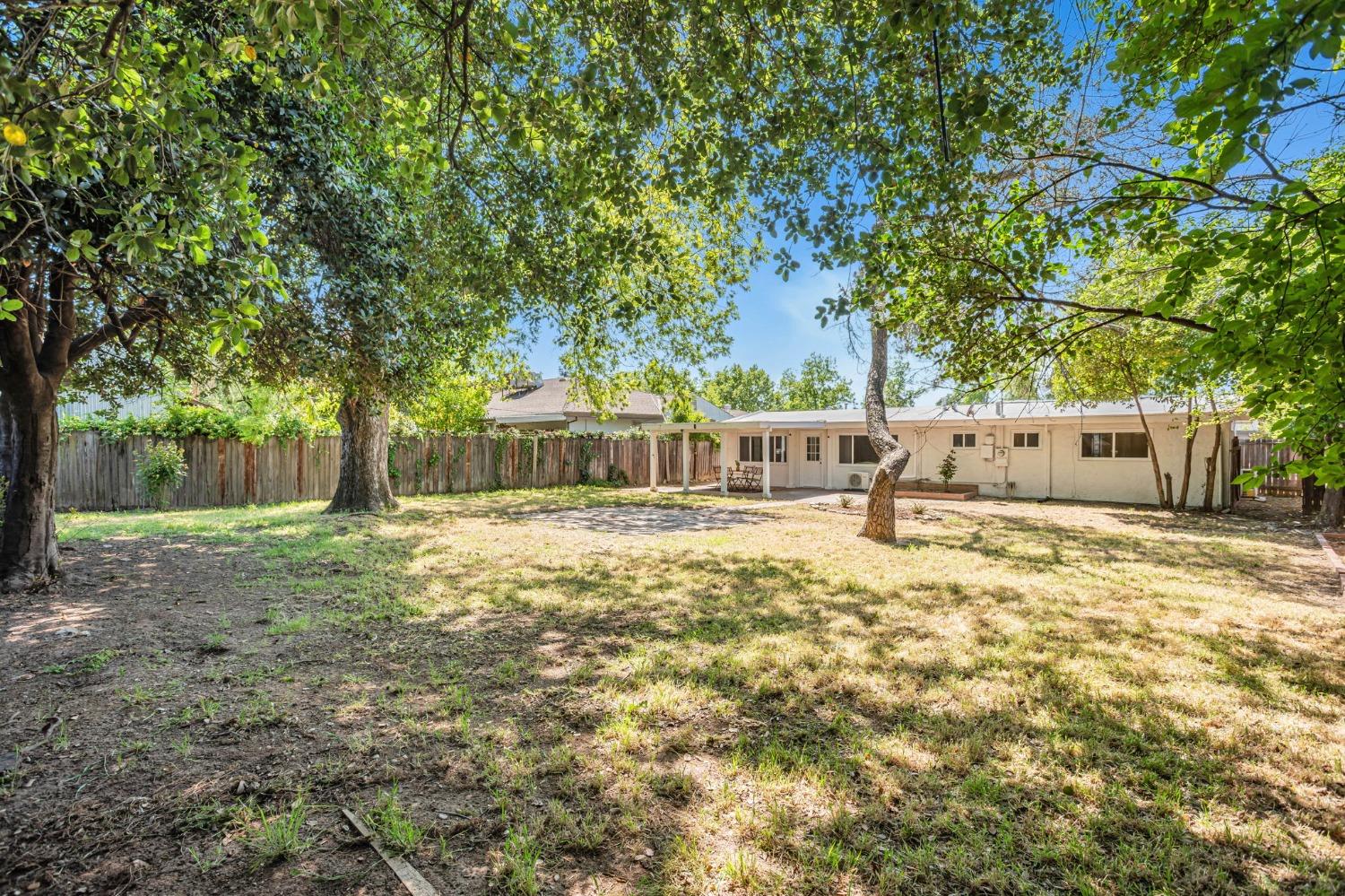 Terrace Drive, Sacramento, California image 35