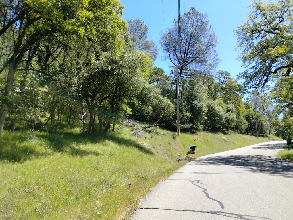 Wolf Creek Road, Grass Valley, California image 2