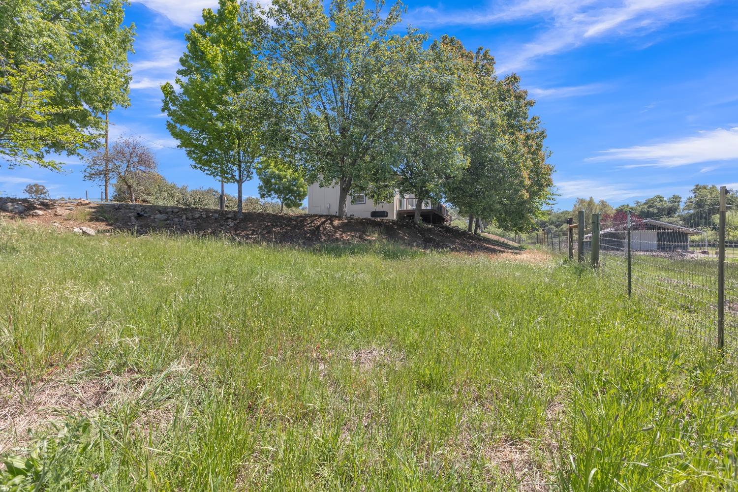 Big Oak Lane, Browns Valley, California image 34