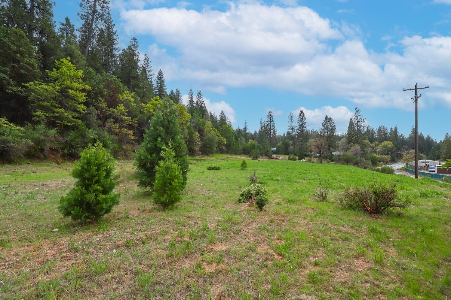 State Hwy 88, Pioneer, California image 19