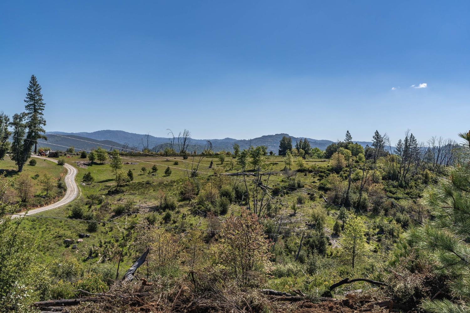 Old Emigrant Trail, Mountain Ranch, California image 5
