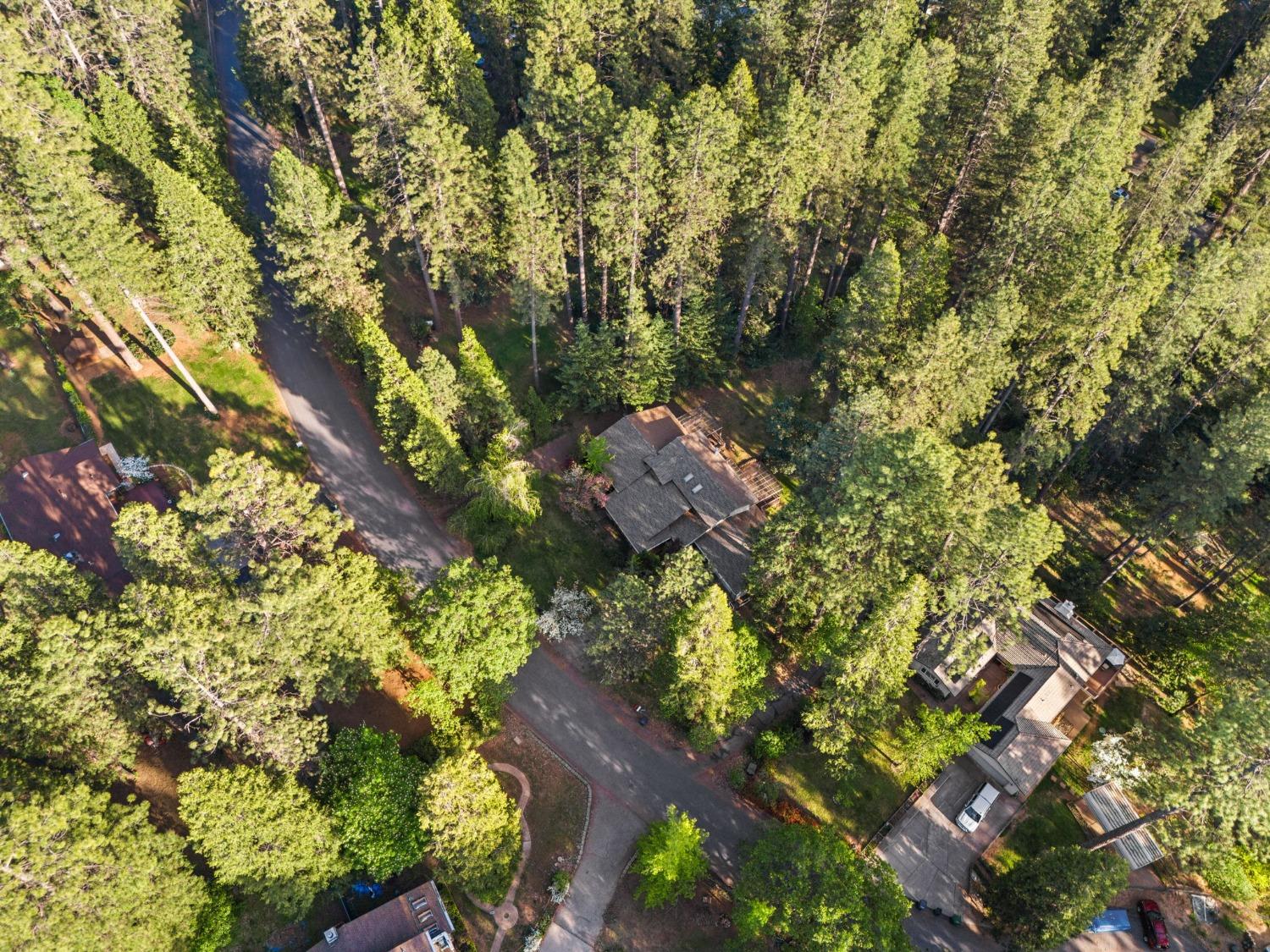 Terrace Pines Court, Grass Valley, California image 36