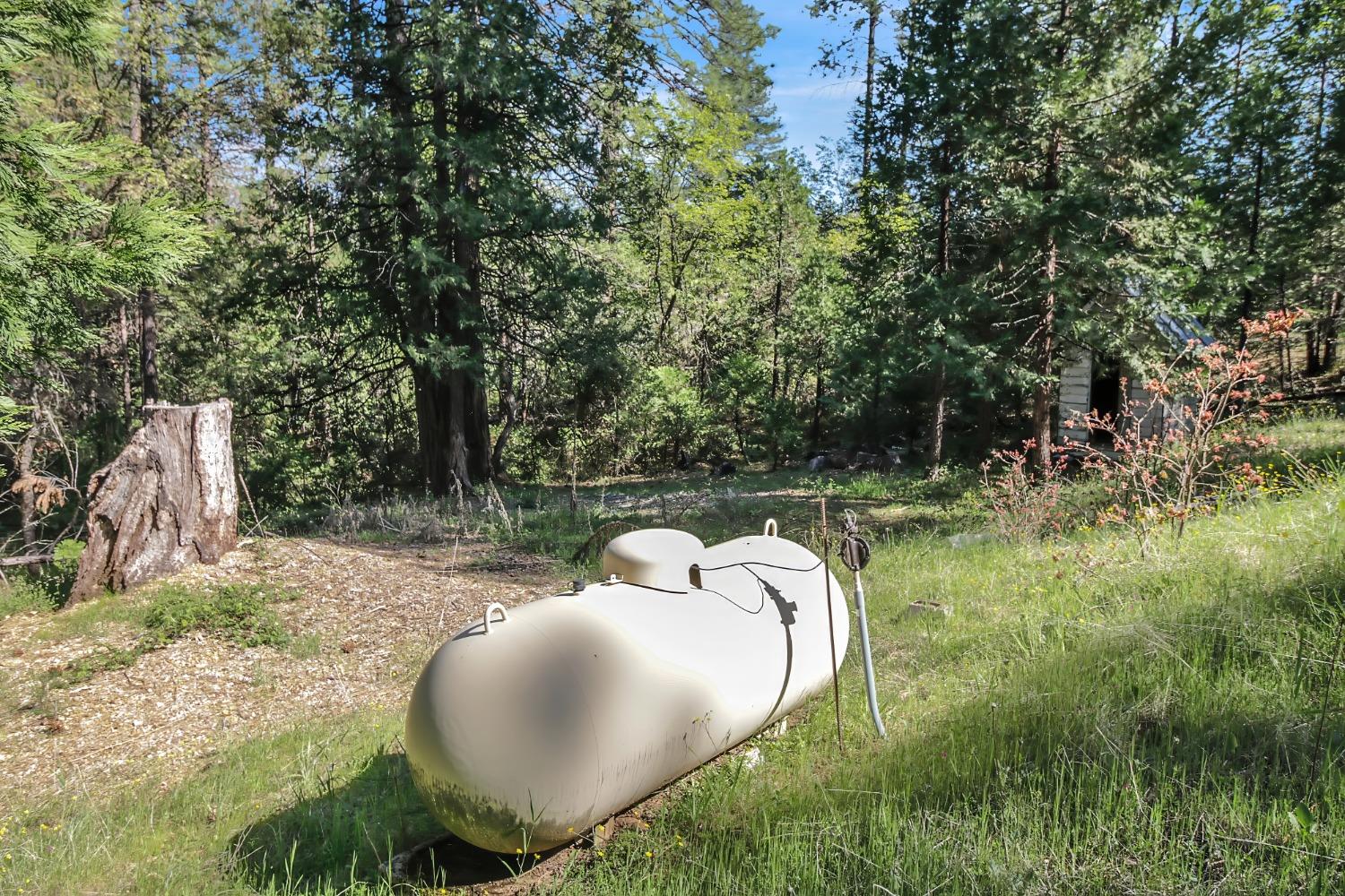 Grizzly Flat Road, Somerset, California image 8