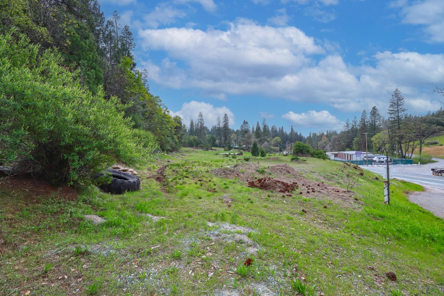 State Hwy 88, Pioneer, California image 20