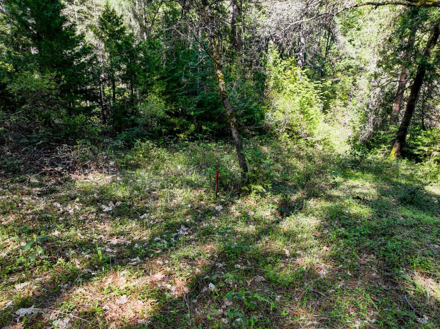 Shady Lane Drive, Morgan Hill, California image 11