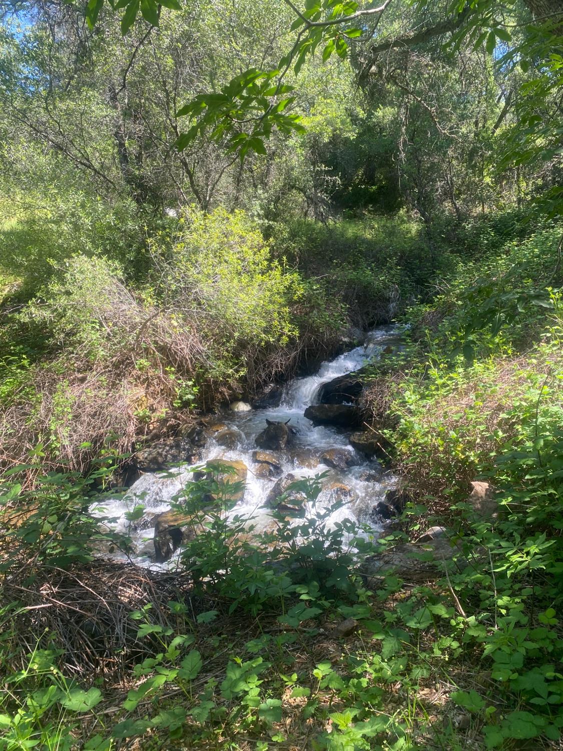 Perimeter Rd, Grass Valley, California image 21