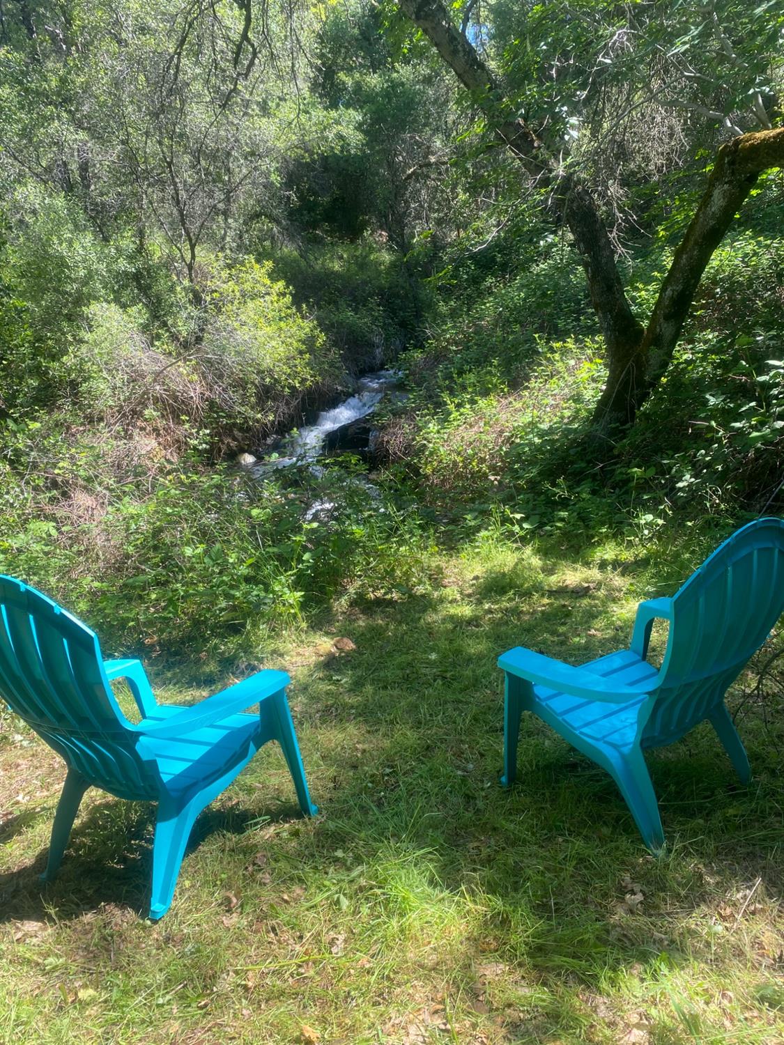 Perimeter Rd, Grass Valley, California image 1