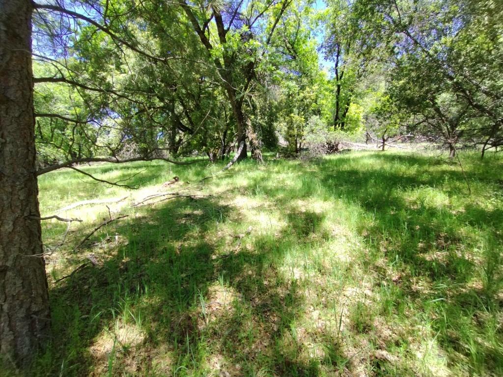 Wolf Creek Road, Grass Valley, California image 8