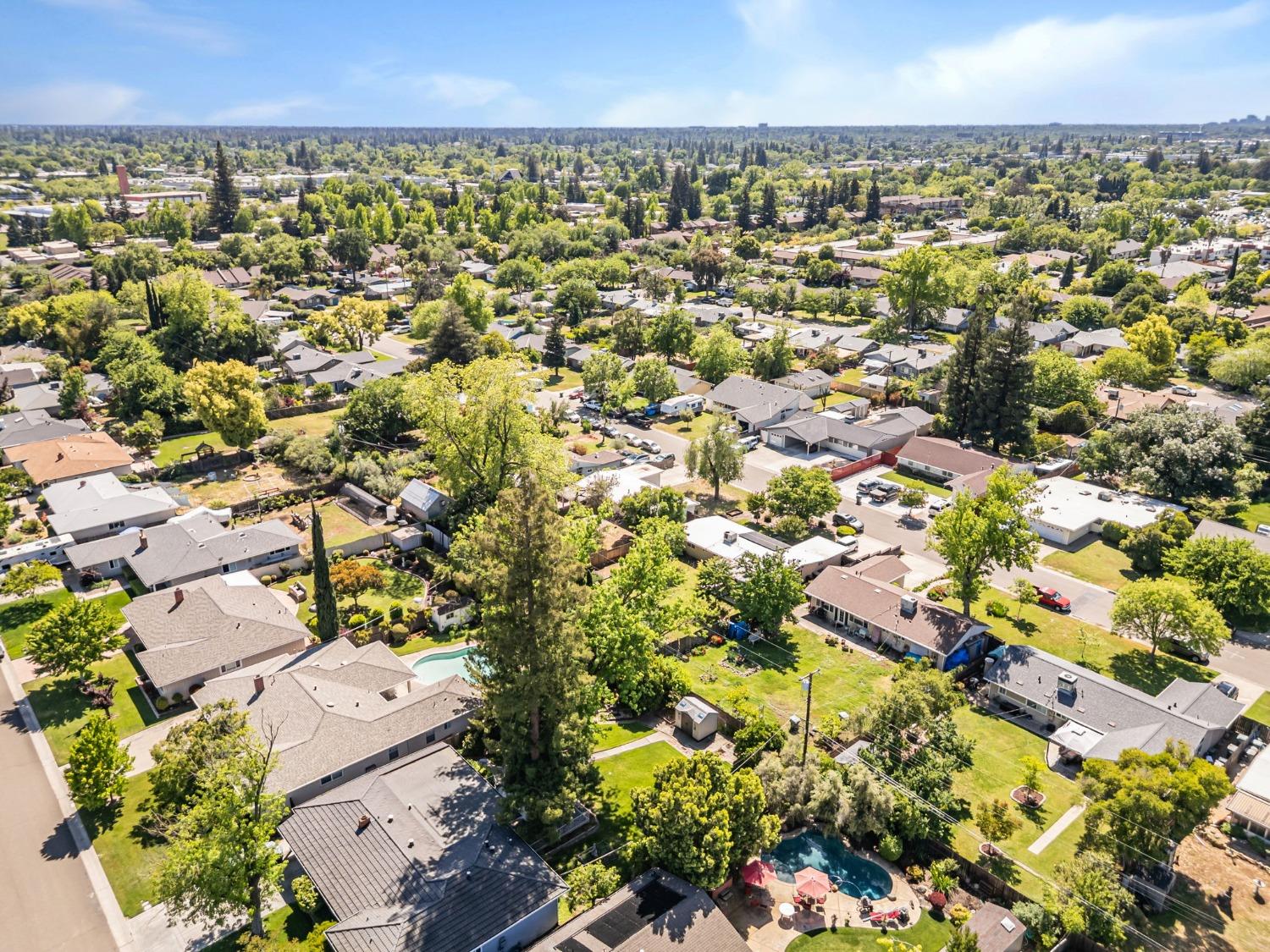 Terrace Drive, Sacramento, California image 47