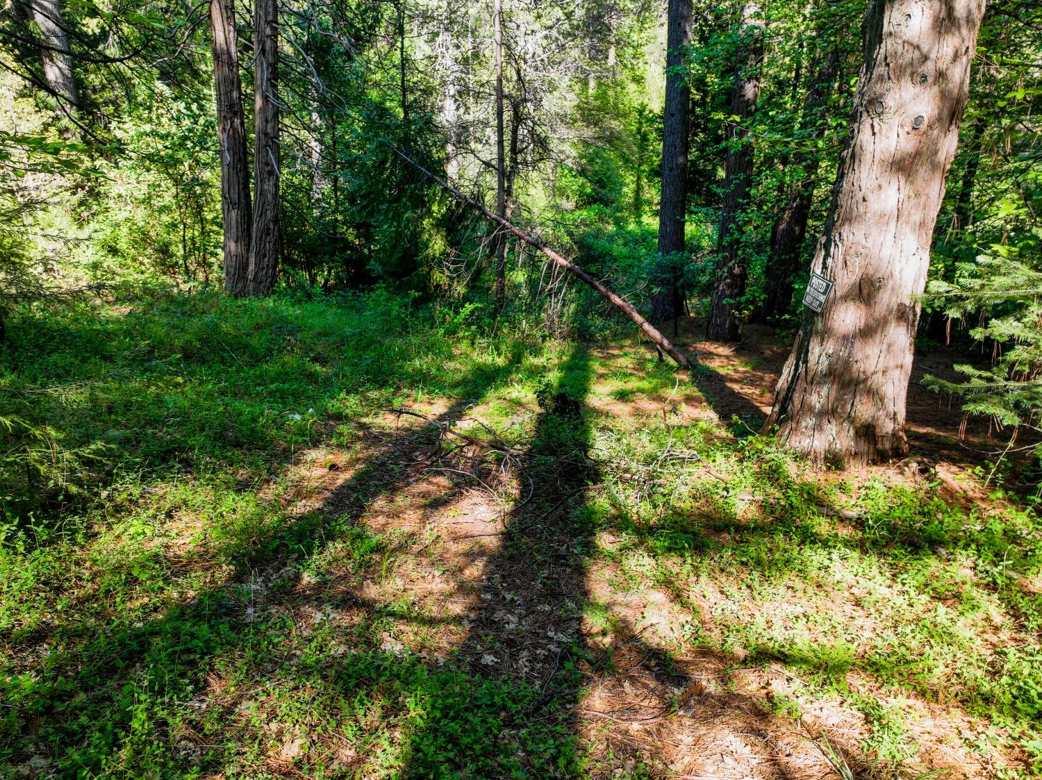 Shady Lane Drive, Morgan Hill, California image 18