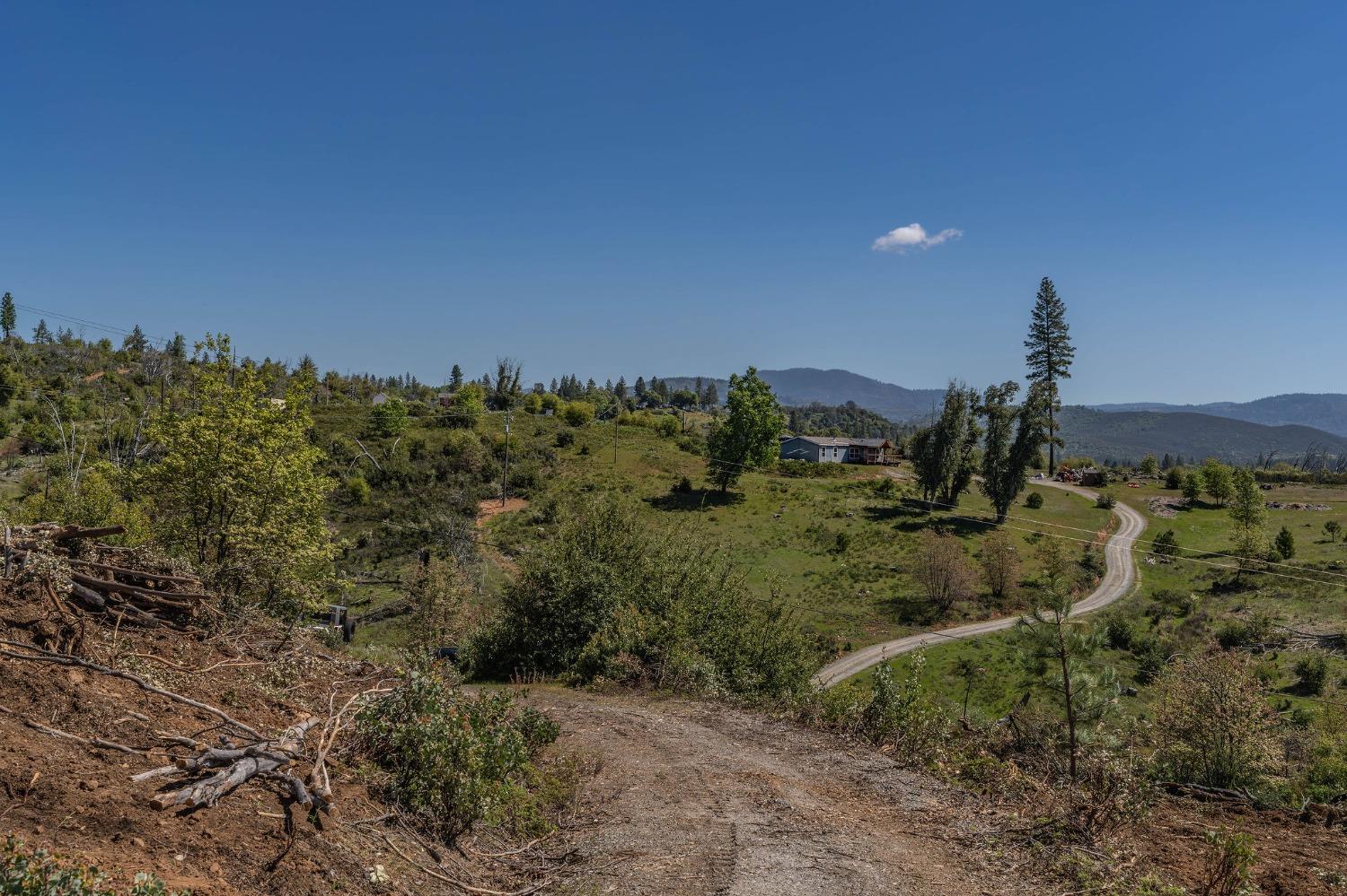Old Emigrant Trail, Mountain Ranch, California image 9