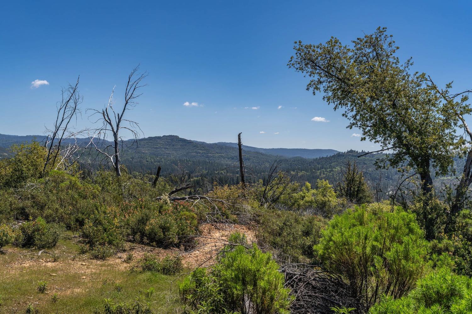 Old Emigrant Trail, Mountain Ranch, California image 11