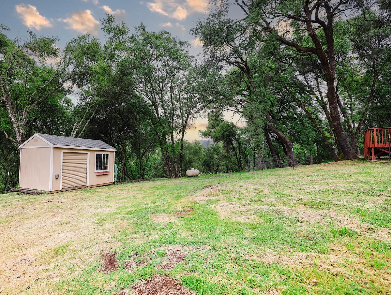 Helen Lane, Auburn, California image 31