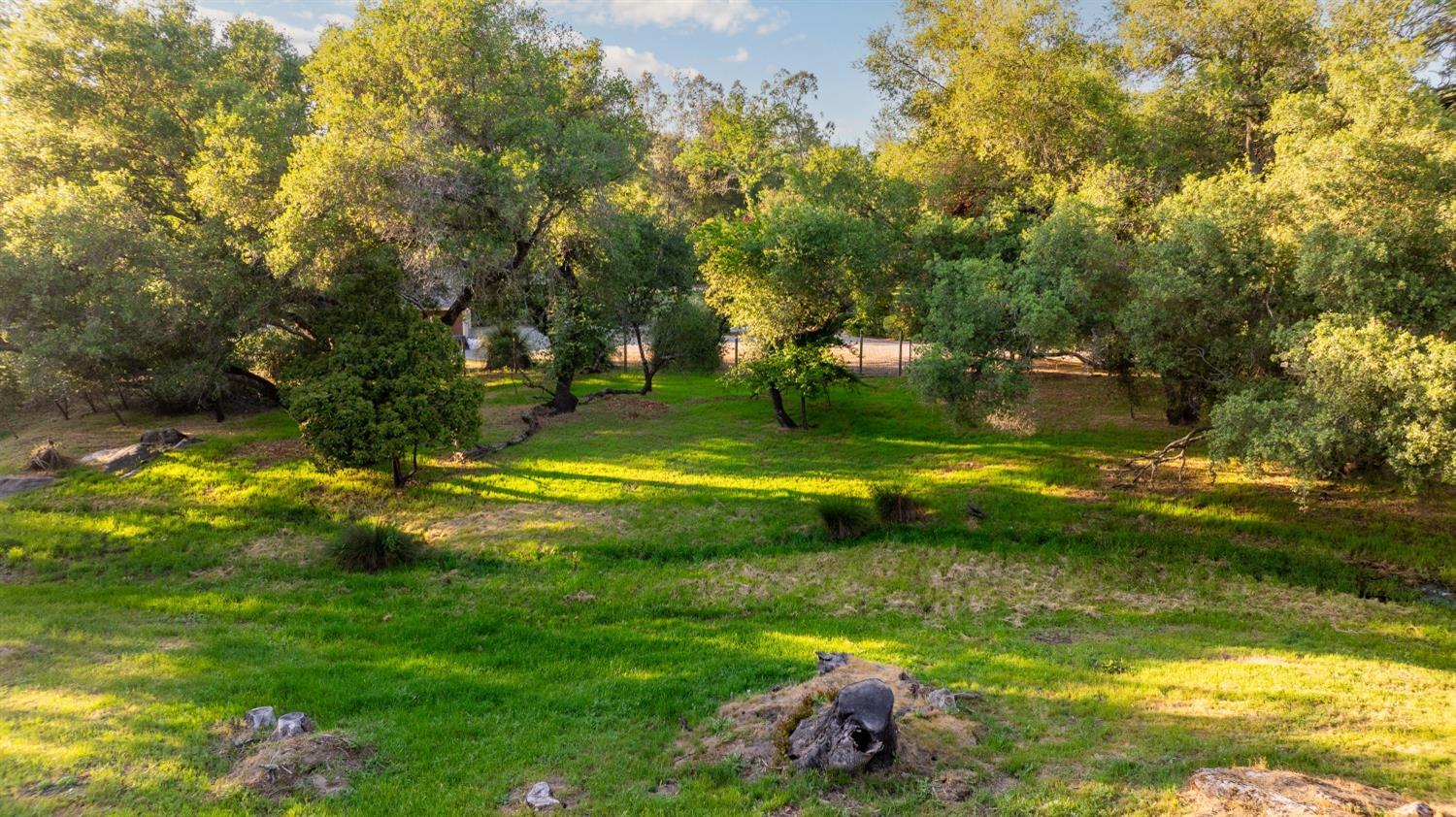 Fox Meadow, Granite Bay, California image 7