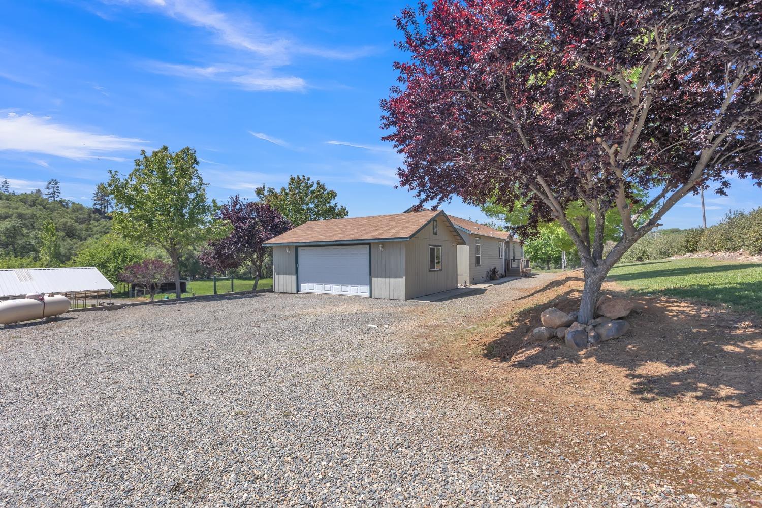 Big Oak Lane, Browns Valley, California image 33