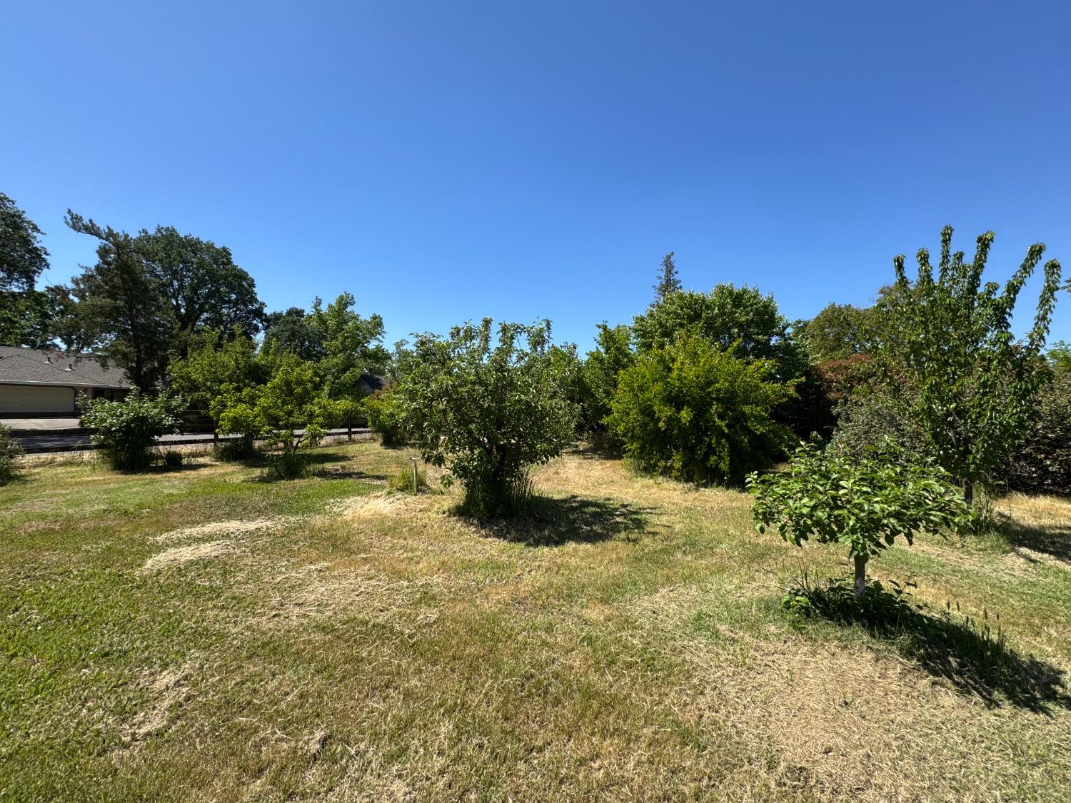 Detail Gallery Image 36 of 41 For 2100 Quail Ranch Ct, Elverta,  CA 95626 - 4 Beds | 2 Baths