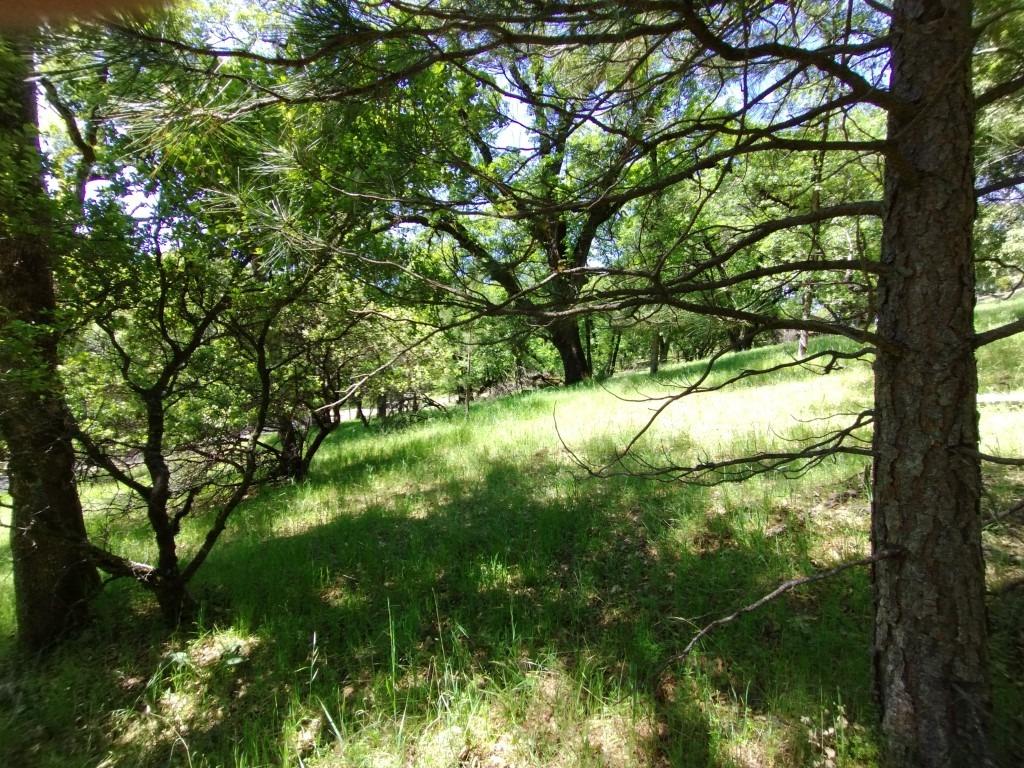 Wolf Creek Road, Grass Valley, California image 10