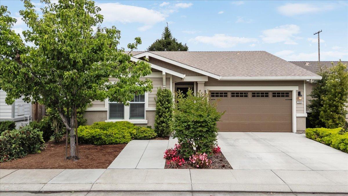 Ives Street, Modesto, California image 2