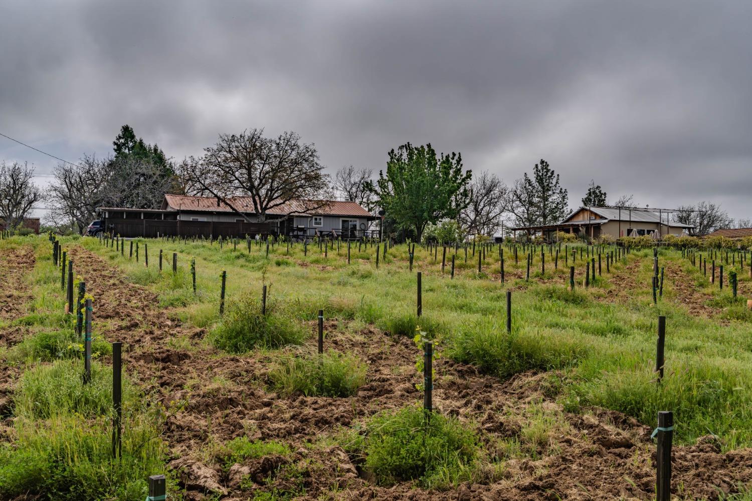 Shenandoah Road, Plymouth, California image 41