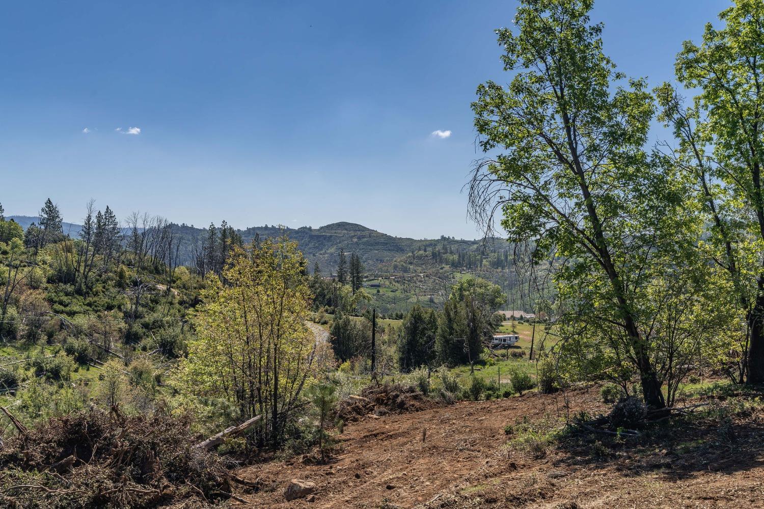 Old Emigrant Trail, Mountain Ranch, California image 6