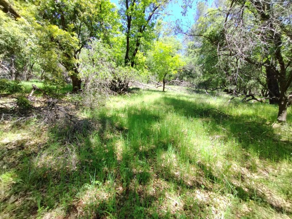 Wolf Creek Road, Grass Valley, California image 11
