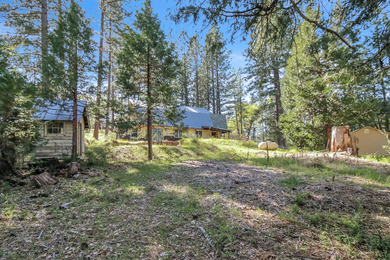 Grizzly Flat Road, Somerset, California image 11
