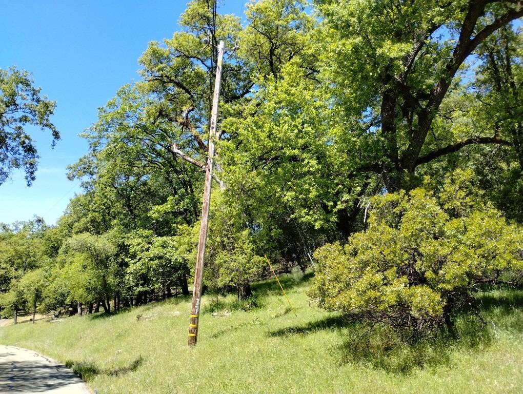 Wolf Creek Road, Grass Valley, California image 1