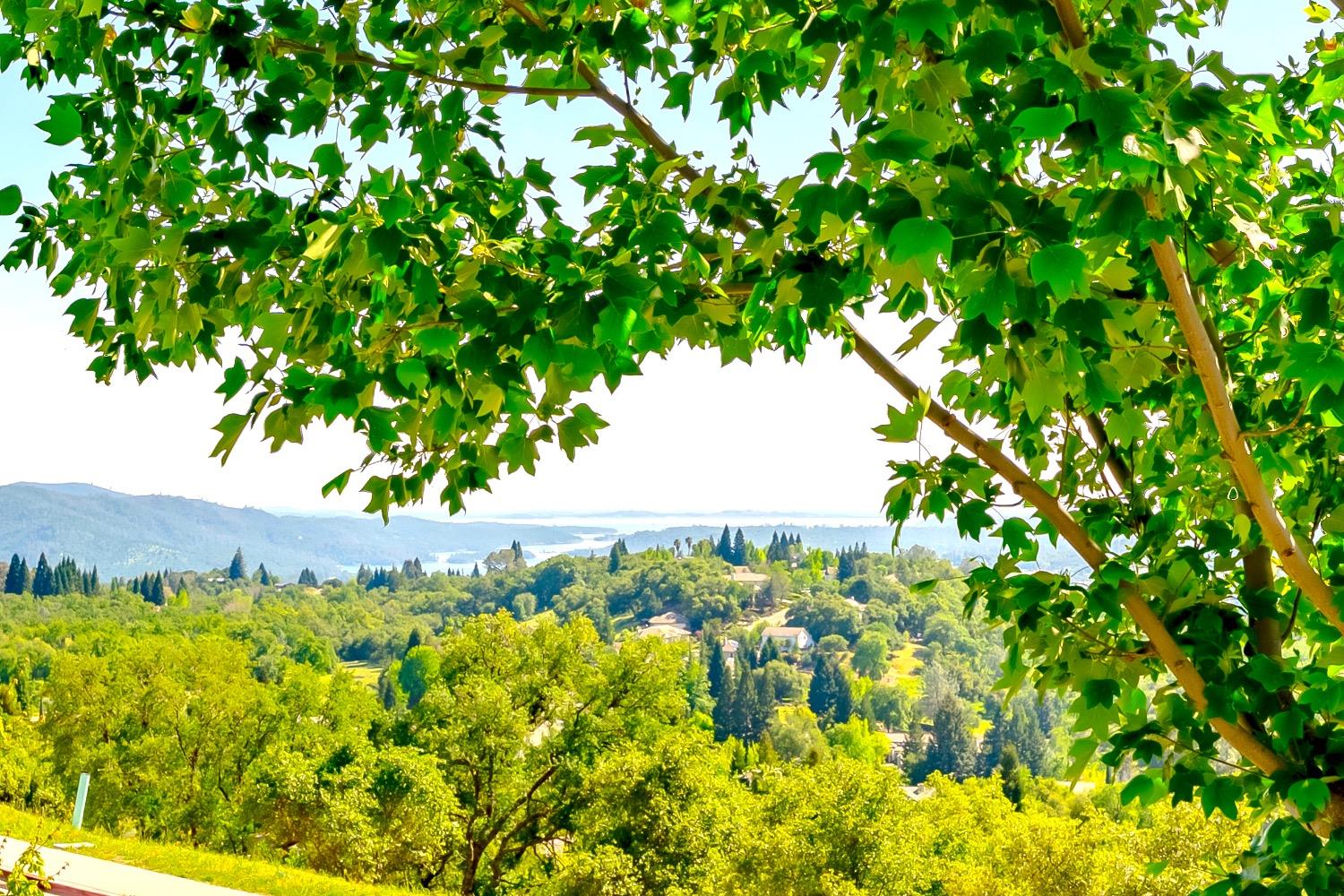Lantern View Drive #16, Auburn, California image 1