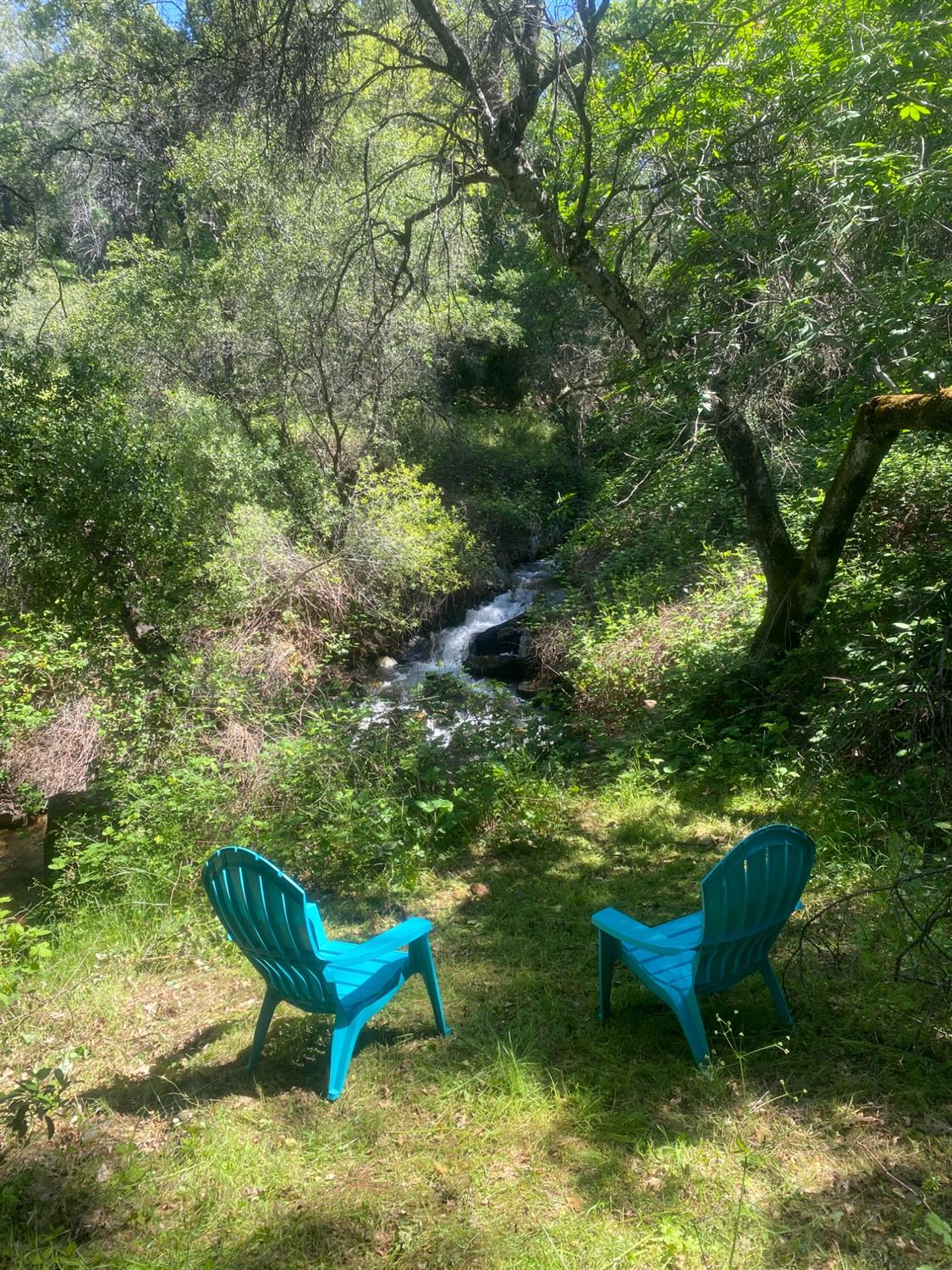 Perimeter Rd, Grass Valley, California image 12