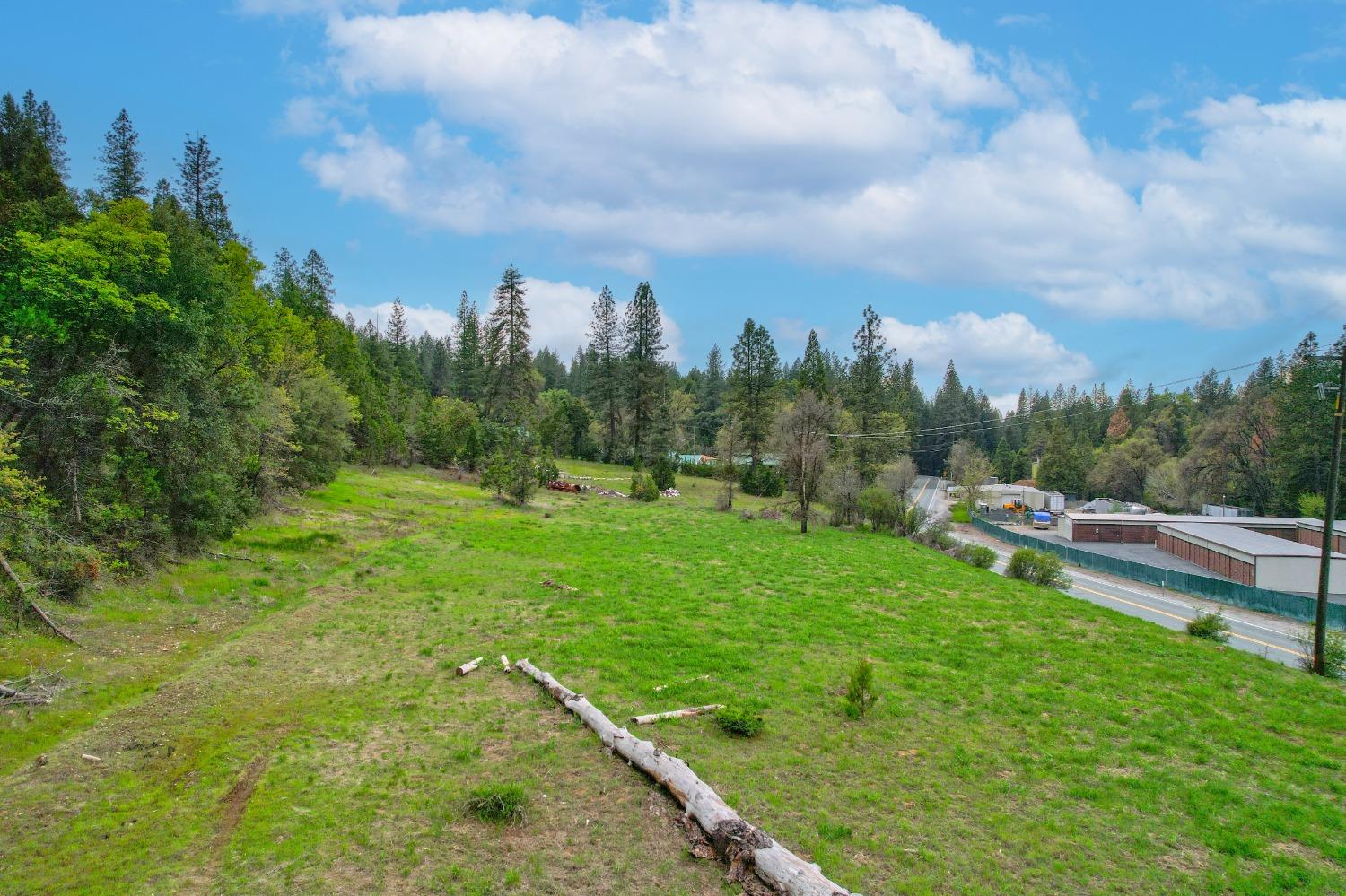 State Hwy 88, Pioneer, California image 3