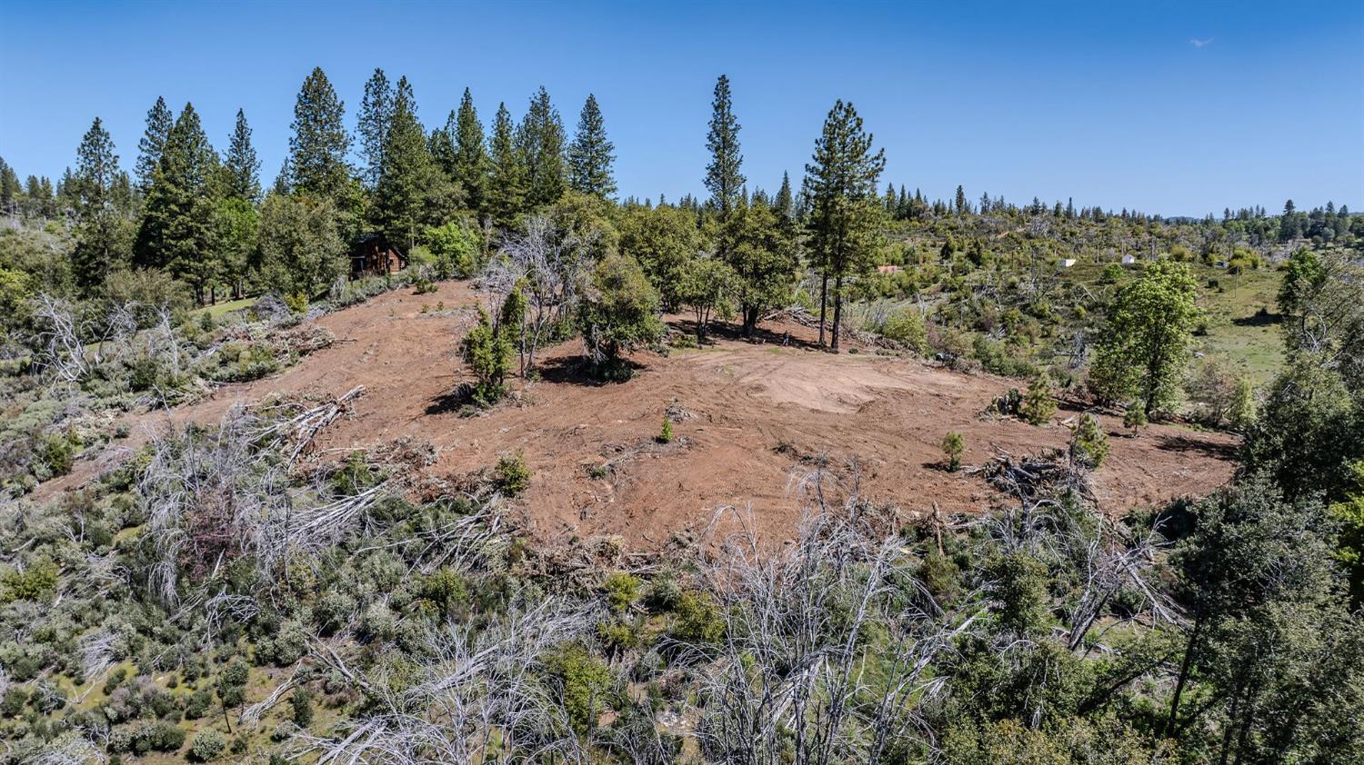 Old Emigrant Trail, Mountain Ranch, California image 3