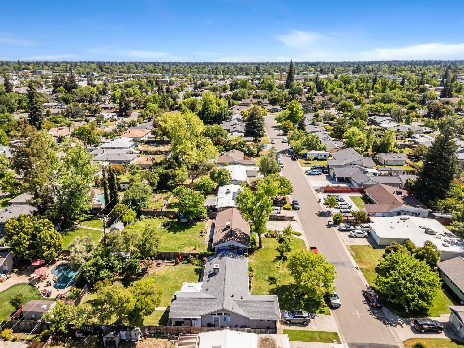 Terrace Drive, Sacramento, California image 50