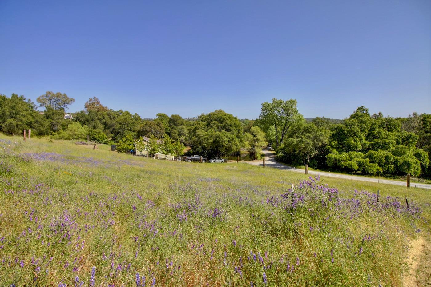 Detail Gallery Image 69 of 98 For 8535 Irish Ln, Newcastle,  CA 95658 - 4 Beds | 3 Baths